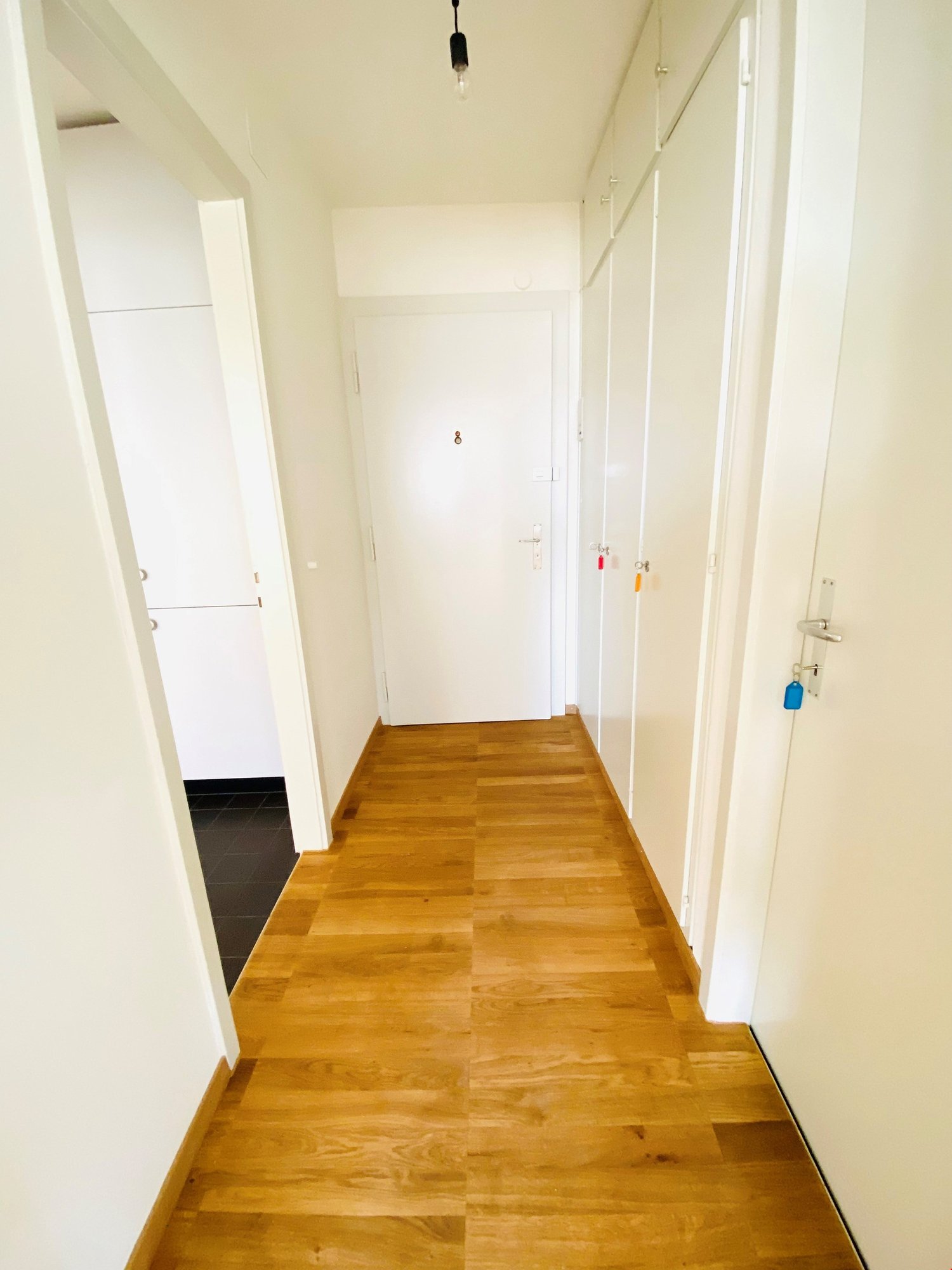 Appartement de 2 ½ pièces