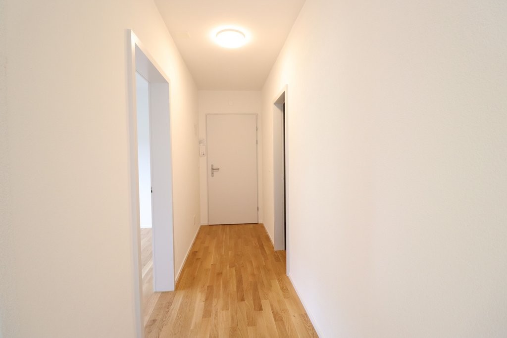 appartement 1 pièce, photo 6 sur 8