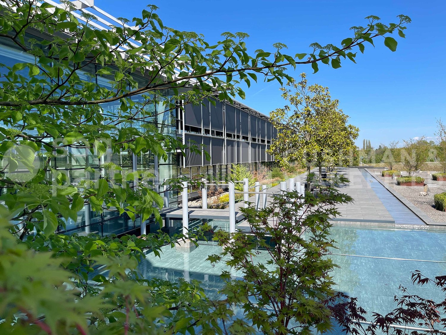 600m² office
