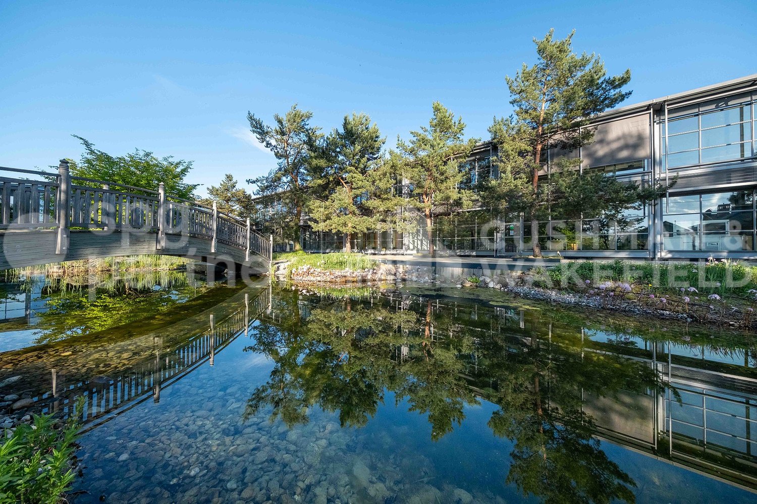 600m² office