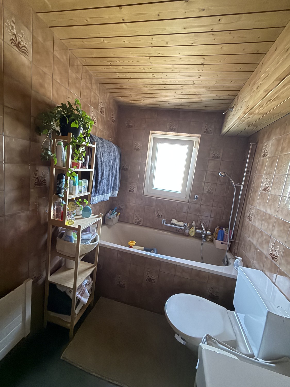 2 ½ rooms apartment