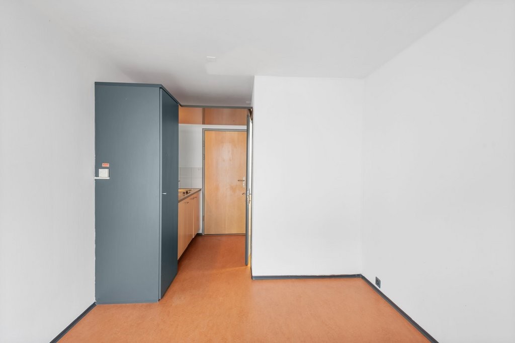 1 room apartment, photo 2 sur 3