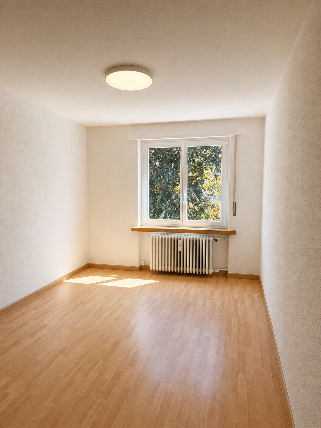 Appartement de 3 ½ pièces