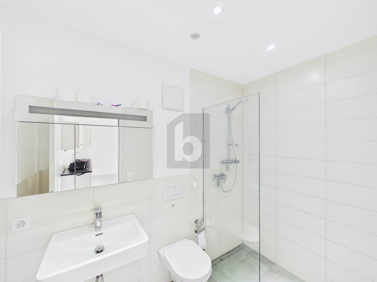 2 ½ rooms apartment, photo 4 sur 4
