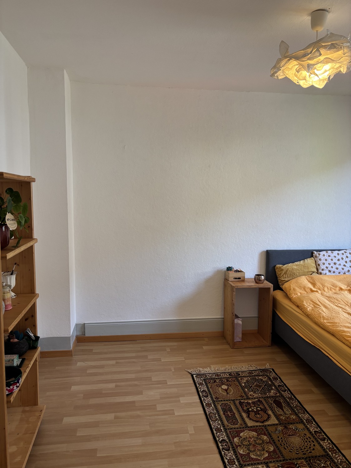 Chambre en colocation