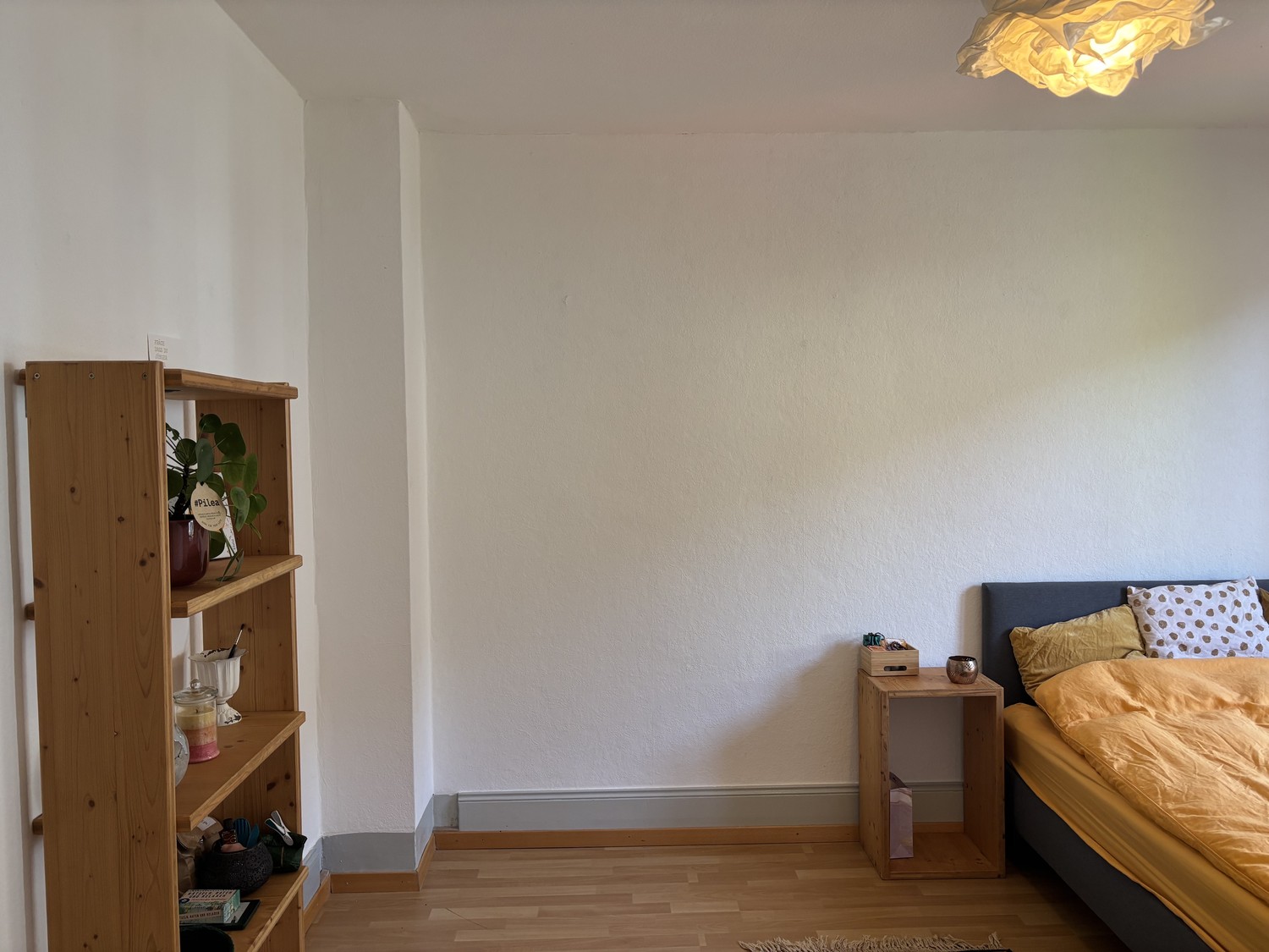 Chambre en colocation