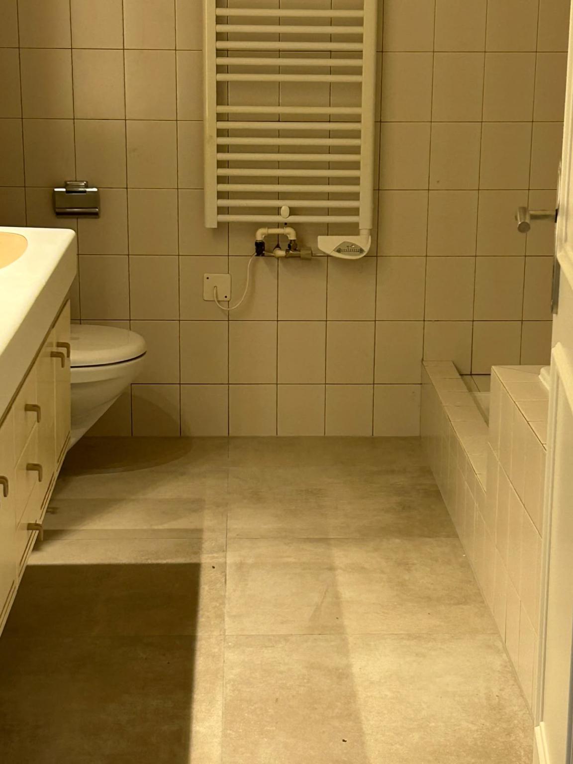 5 ½ Zimmer-Wohnung