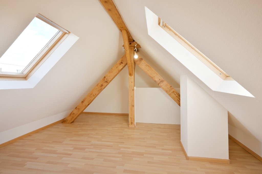 Duplex de 2 ½ pièces