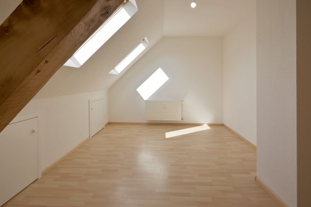Duplex de 2 ½ pièces