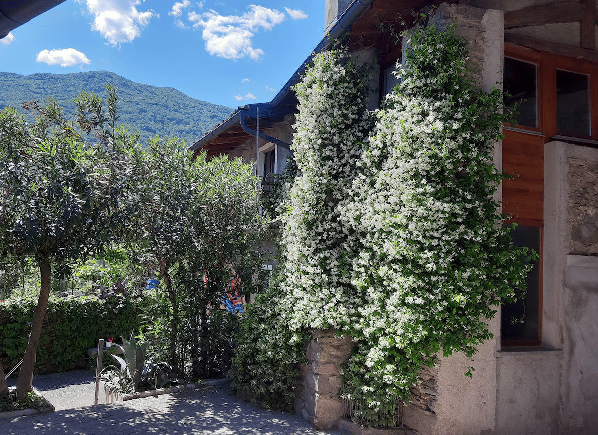 Duplex 3 ½ pièces