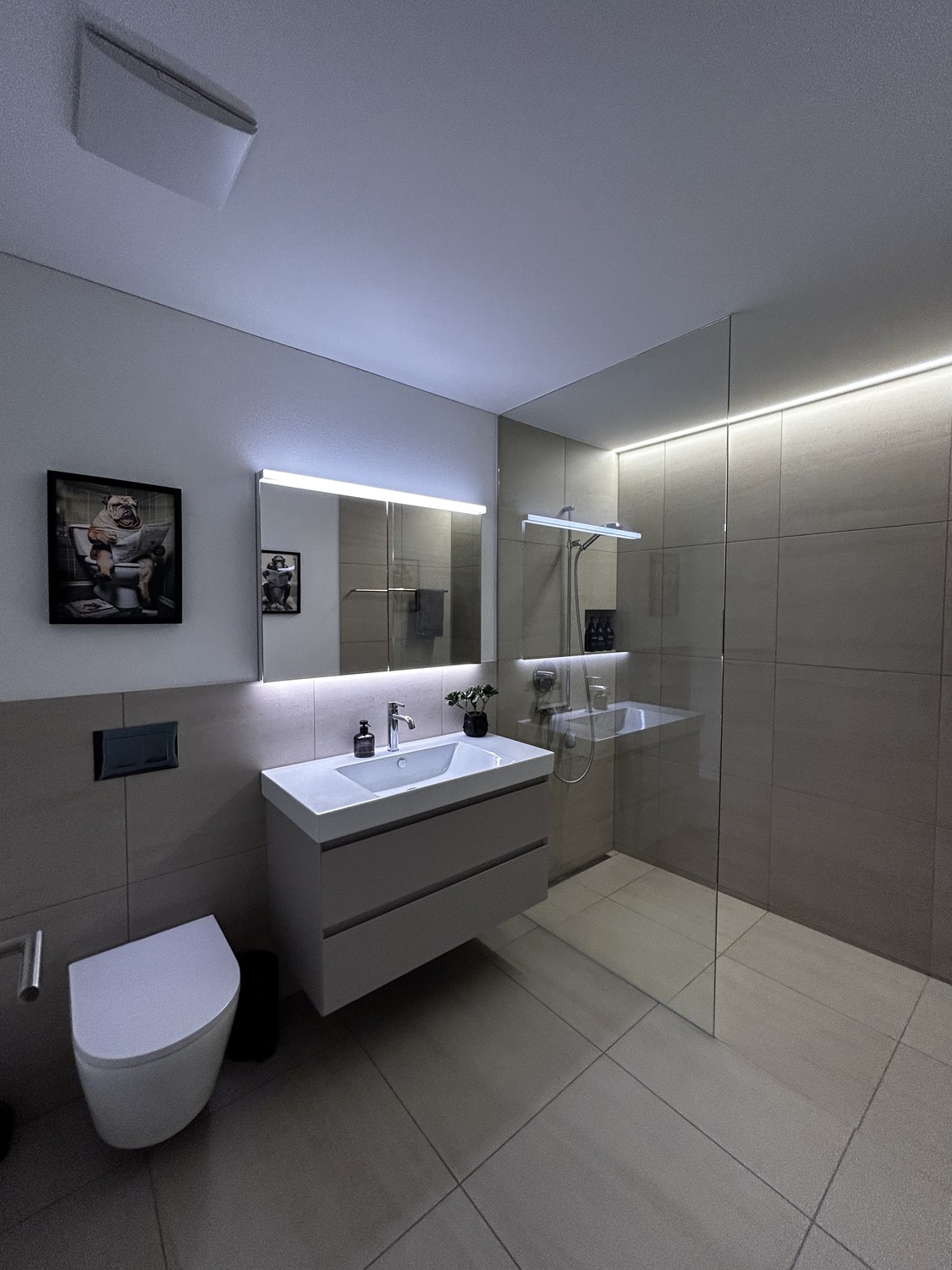 Appartement de 3 ½ pièces, photo 9 sur 10