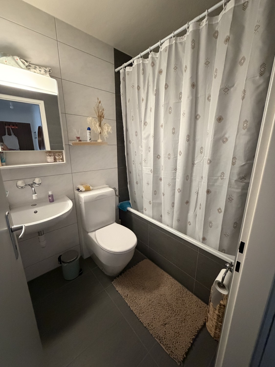 2 ½ rooms apartment