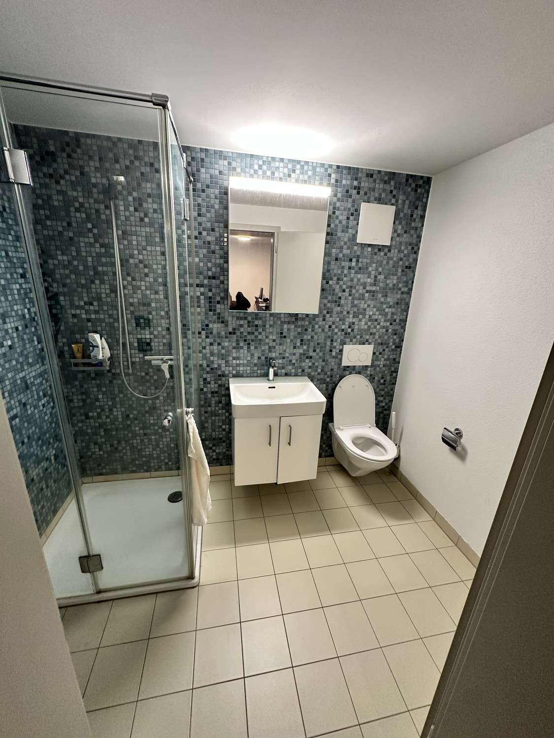 Appartement de 2 ½ pièces, photo 4 sur 6