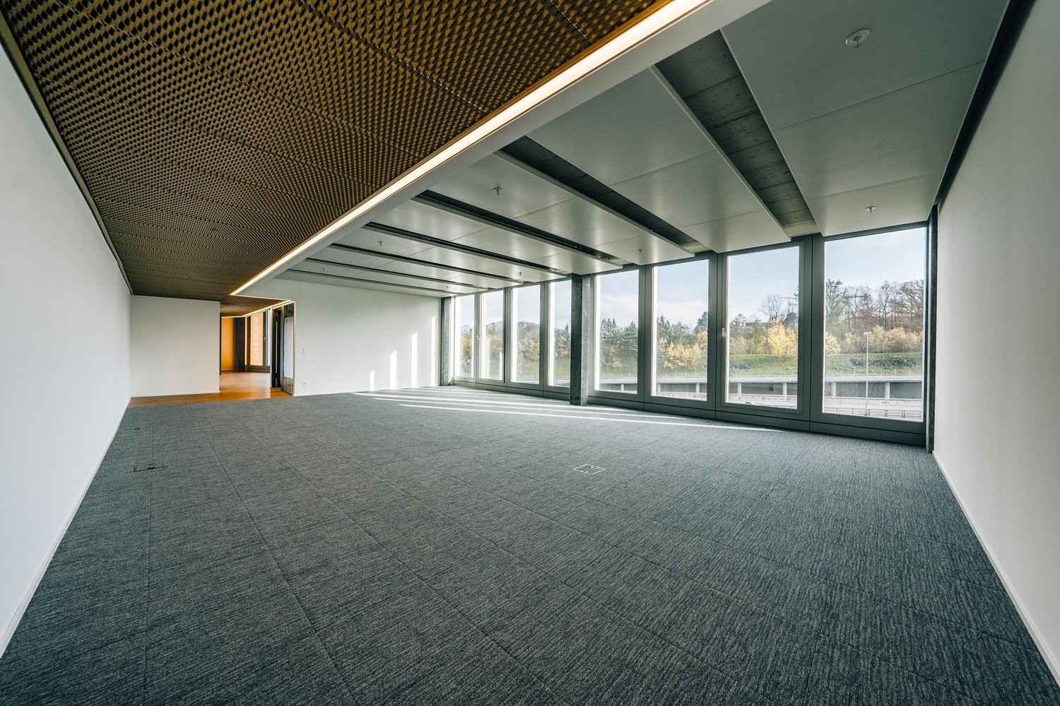 Bureau de 245m²