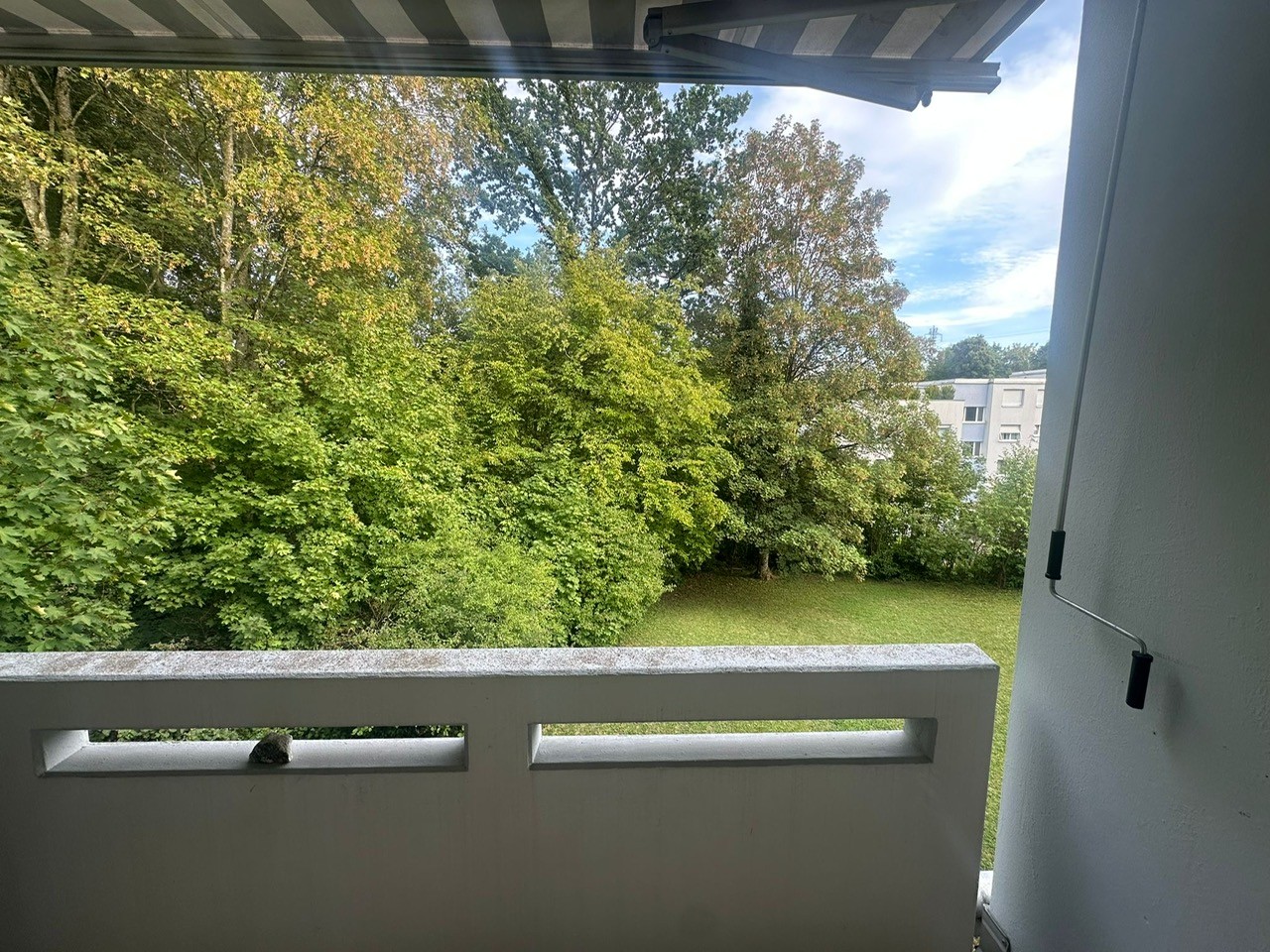 Appartement de 3 ½ pièces