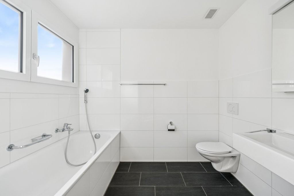 3 ½ pièces appartement au grenier