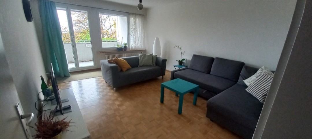 Room in a shared flat