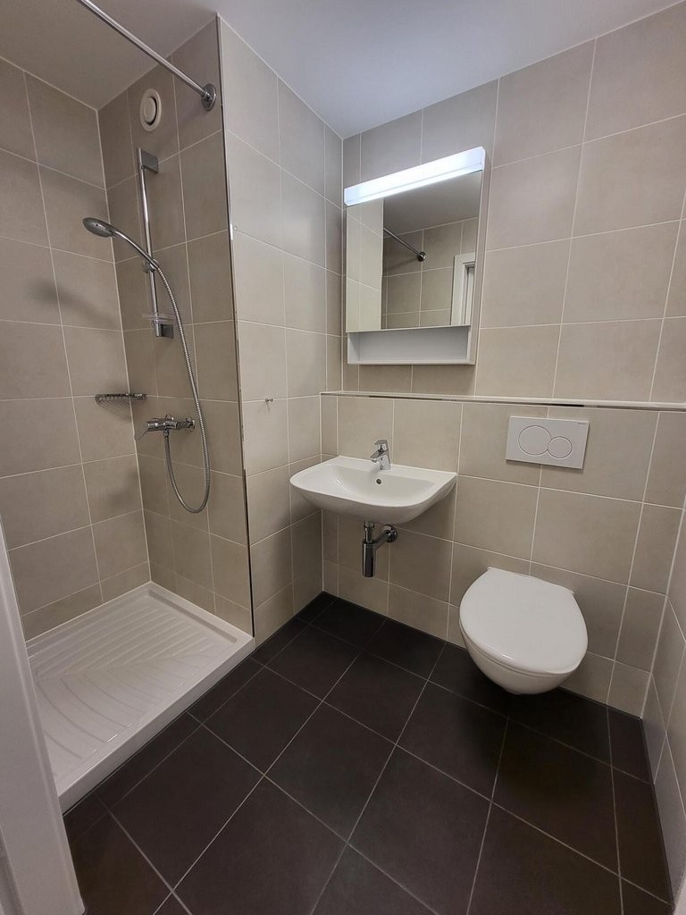 1 ½ rooms apartment, photo 5 sur 5