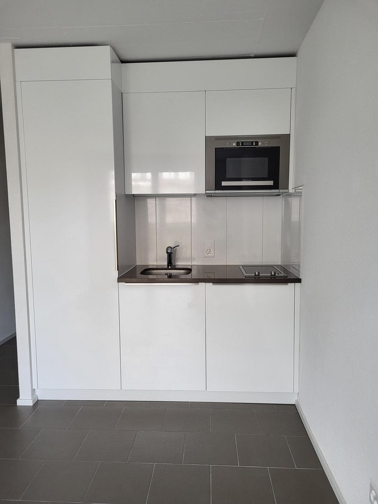 1 ½ rooms apartment, photo 3 sur 5