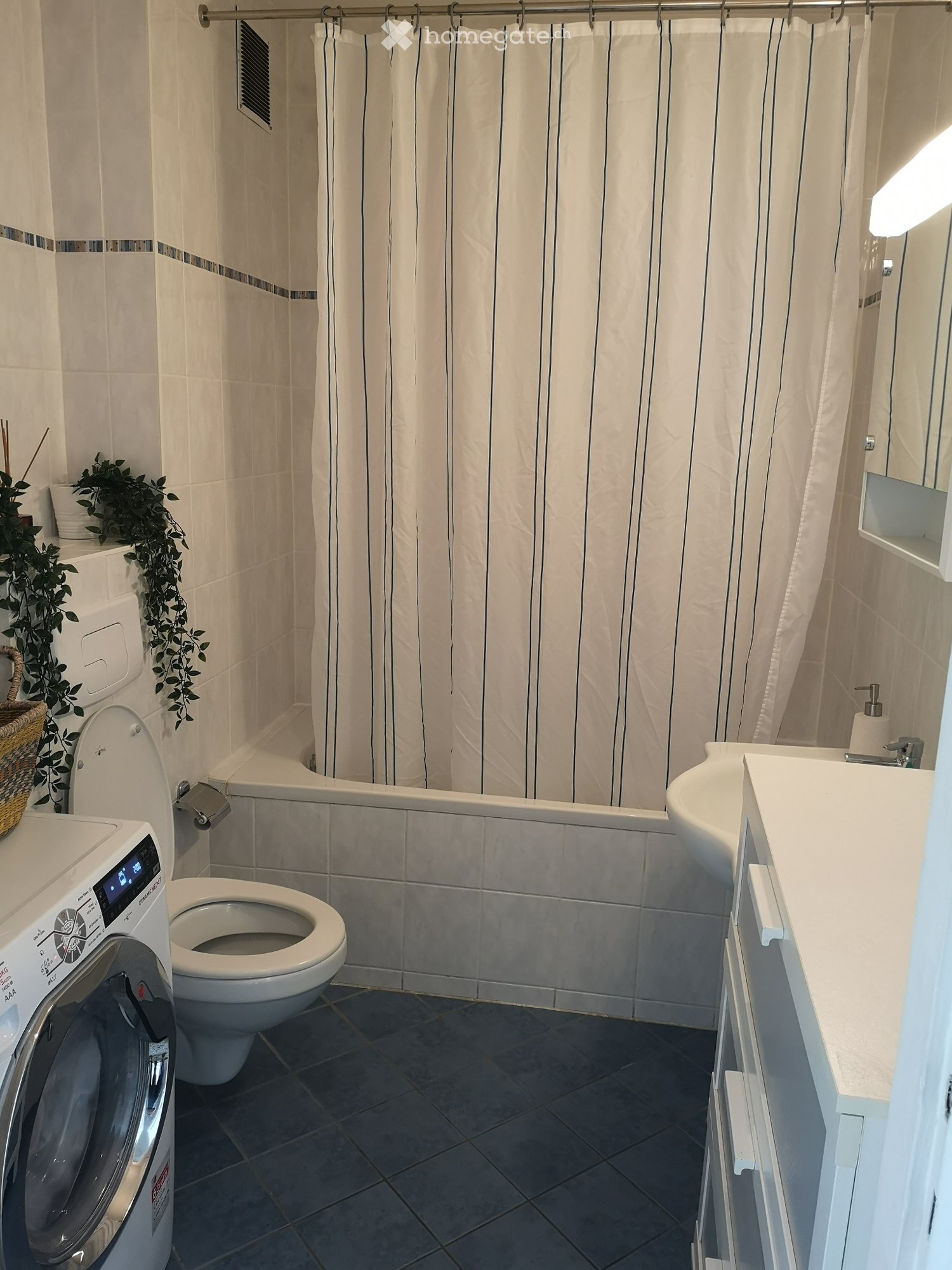 2 ½ Zimmer Wohnung