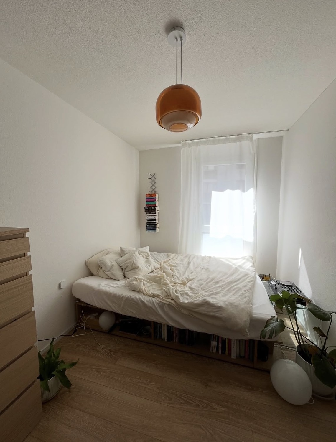 Chambre dans une colocation, photo 1 sur 7