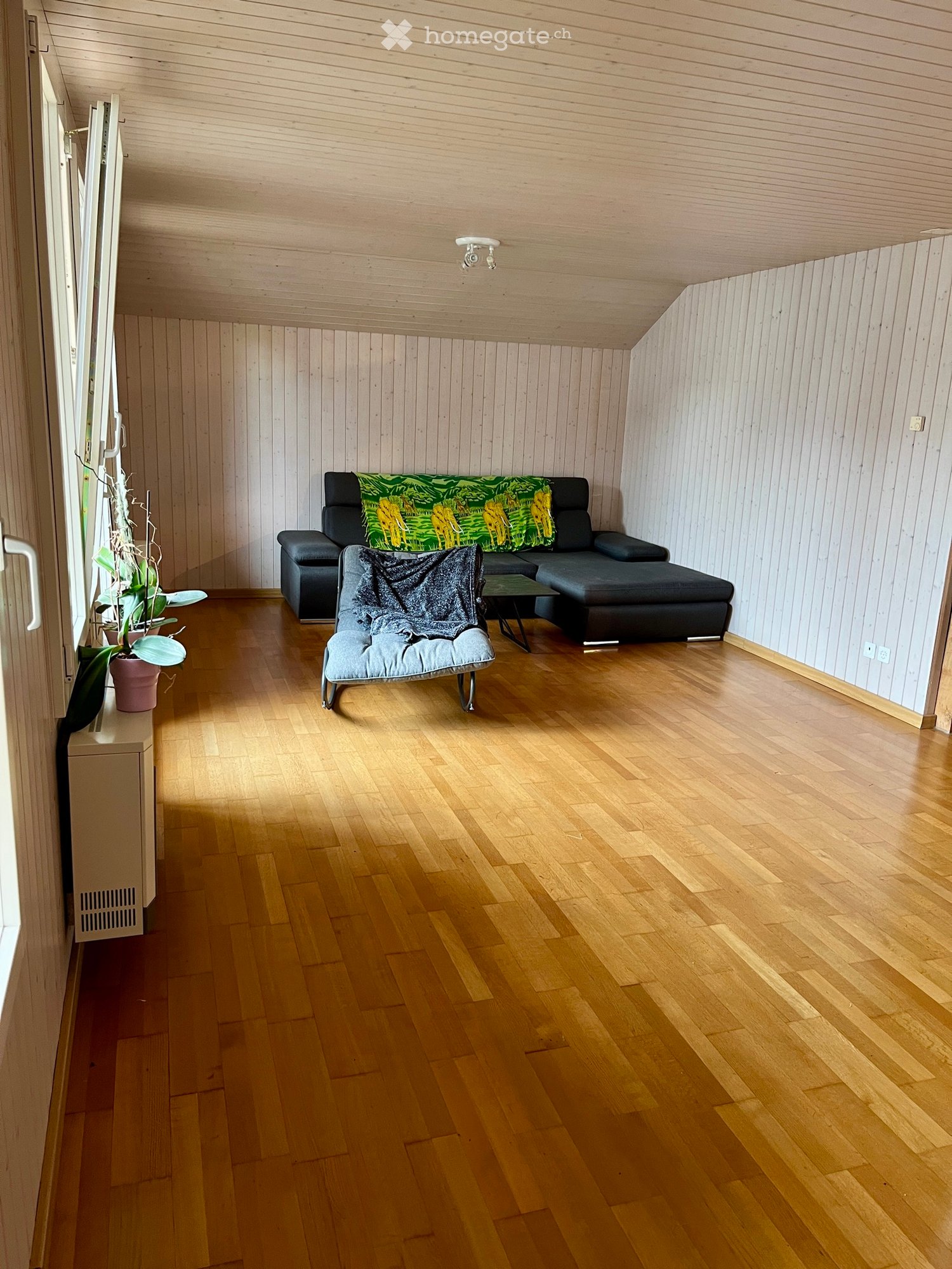 appartement 1 pièce, photo 4 sur 5