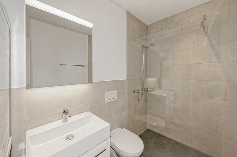 Appartement de 5 ½ pièces, photo 5 sur 8