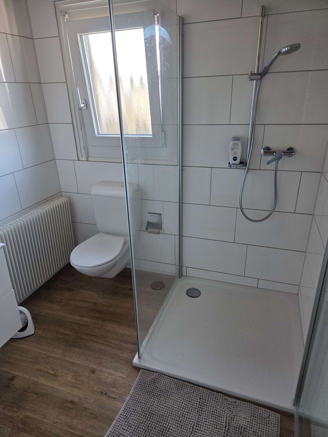 Appartement de 2 ½ pièces