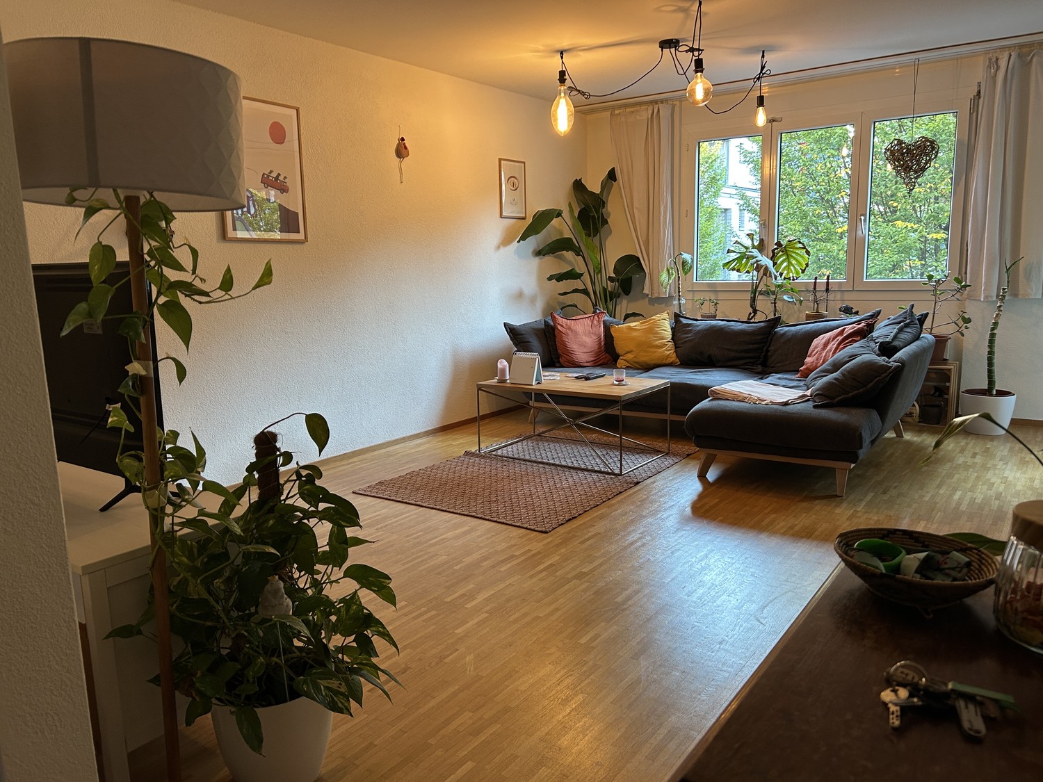 Chambre en colocation, photo 1 sur 3