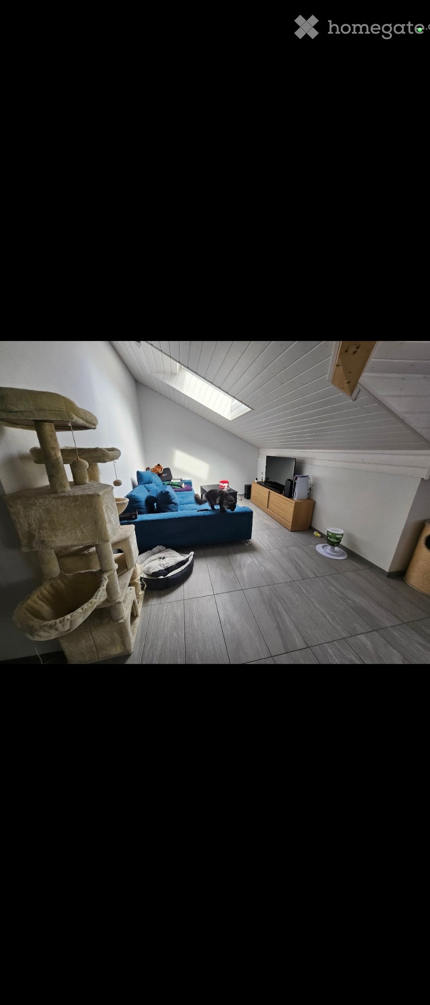 3 ½ Zimmer-Wohnung
