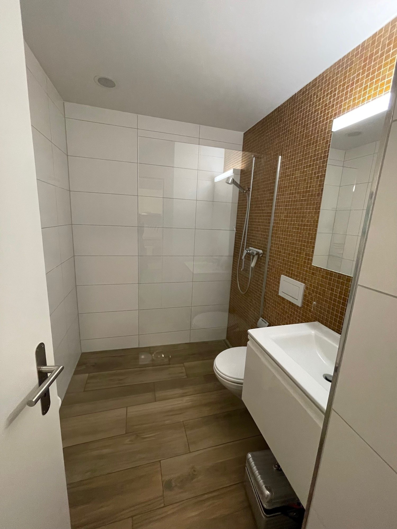 Appartement mansardé de 1 pièce