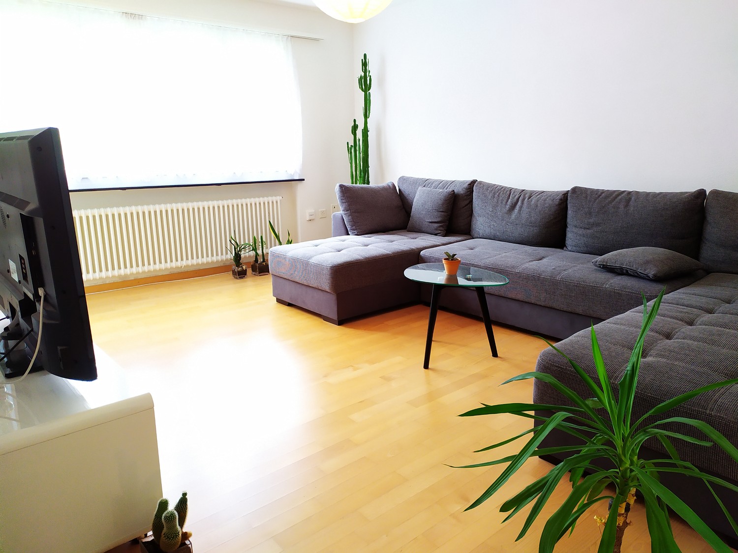 Chambre dans une colocation, photo 1 sur 4