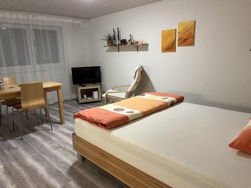 Appartement meublé 1 pièce