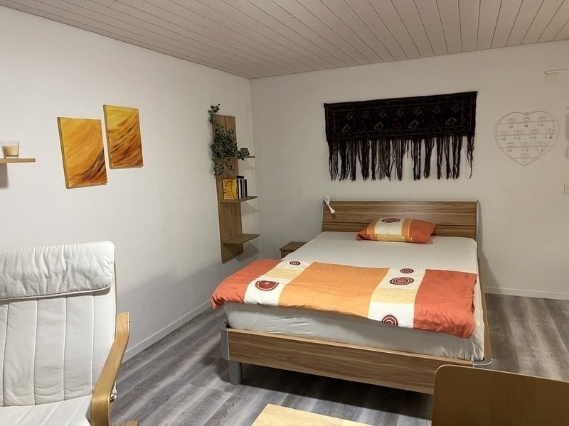 Appartement meublé 1 pièce