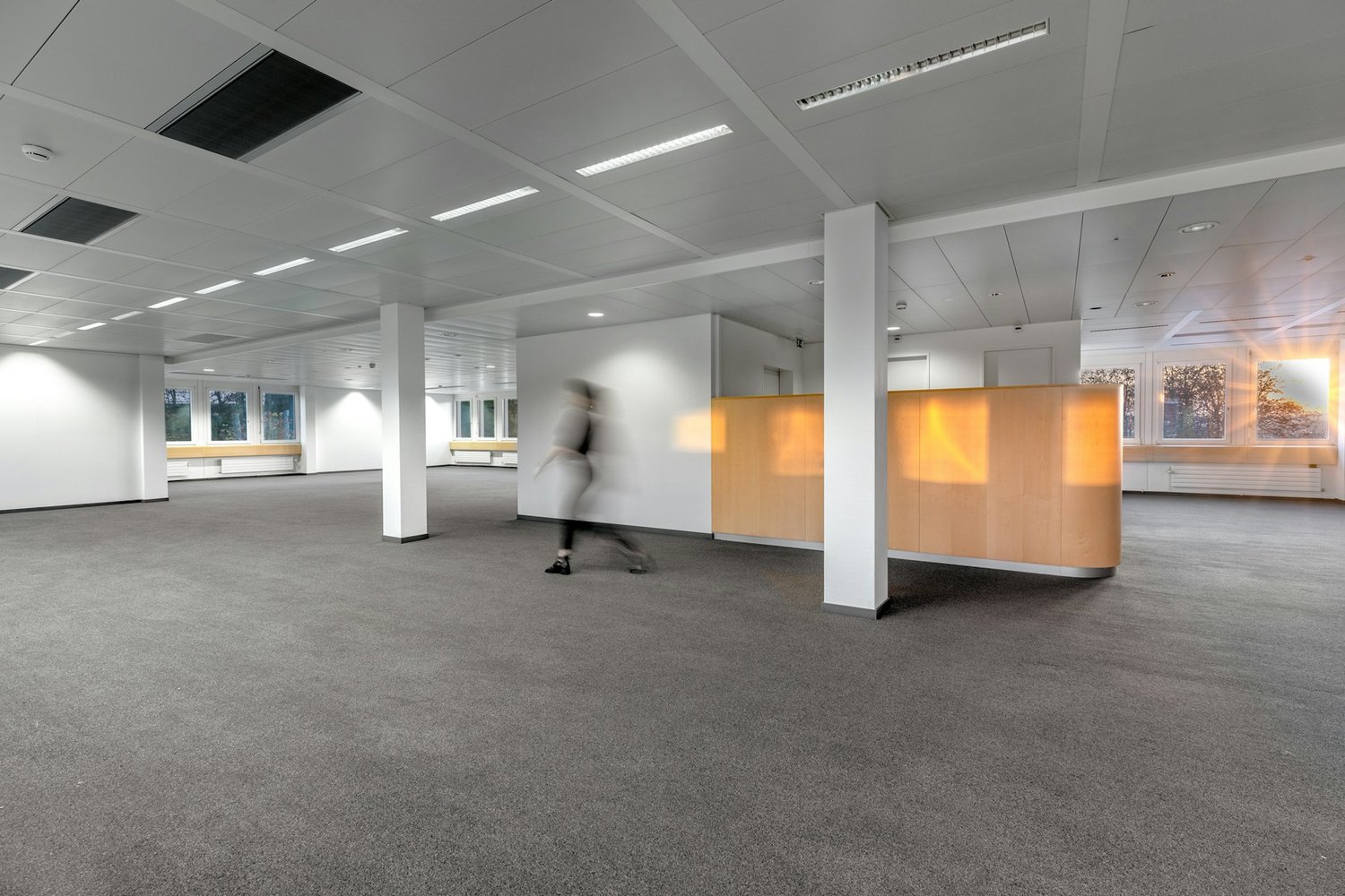 610m² bureau, photo 5 sur 10