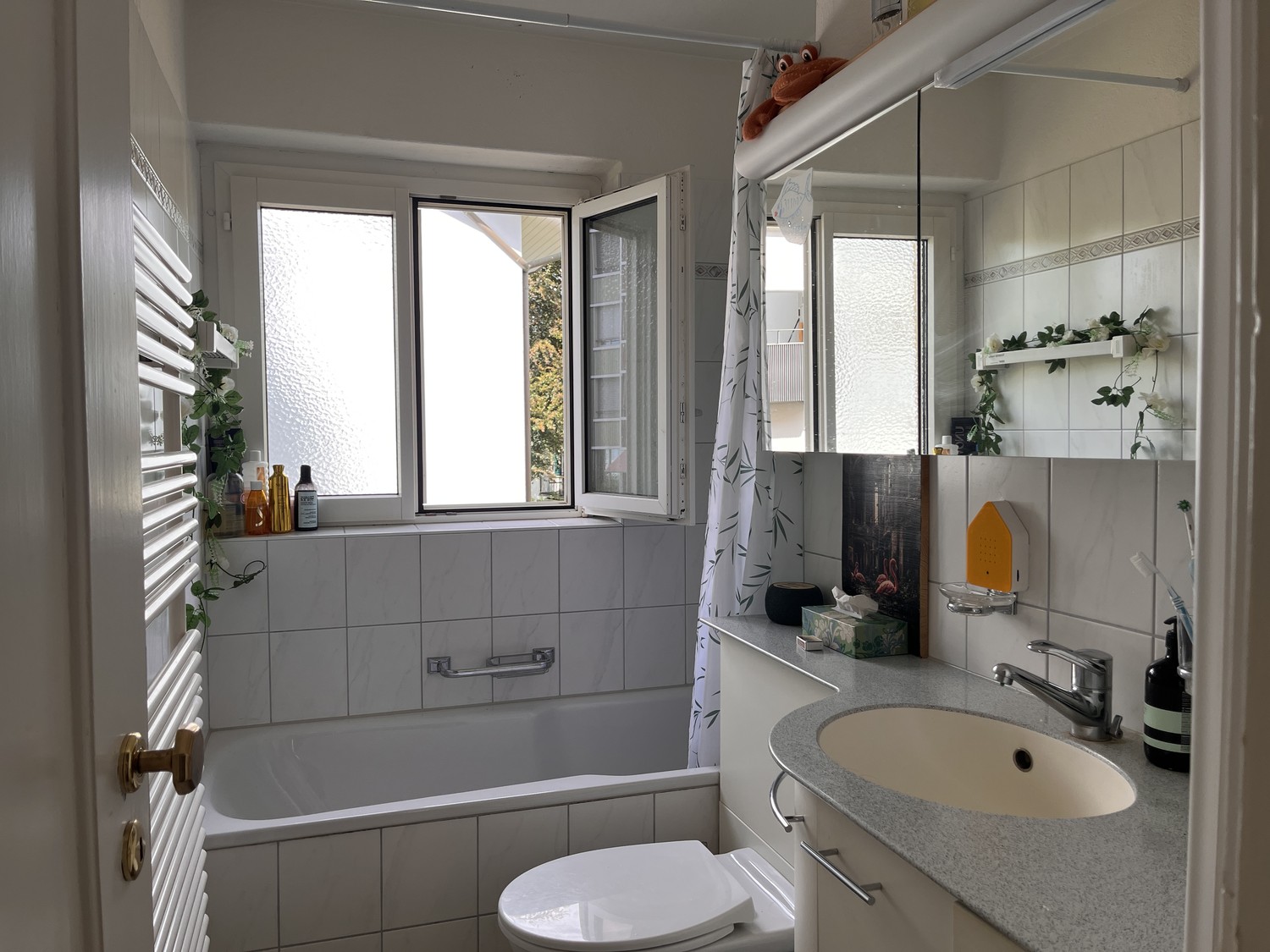 Chambre en colocation