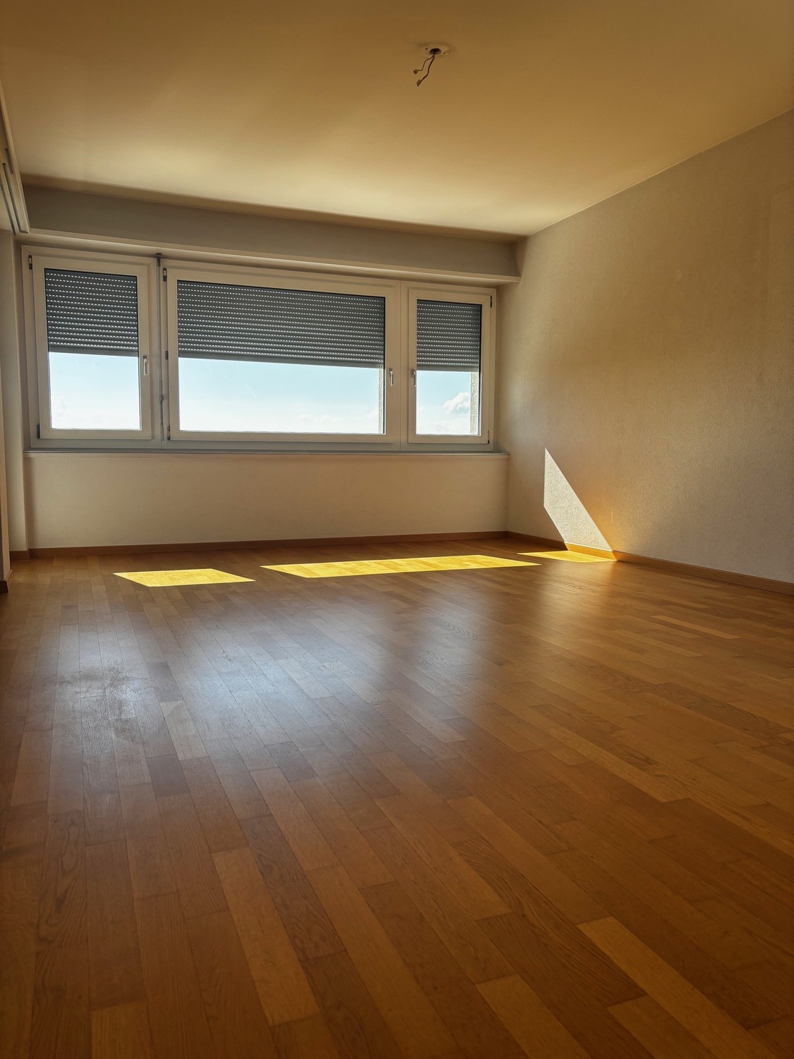 Appartement mansardé de 3 ½ pièces, photo 6 sur 10