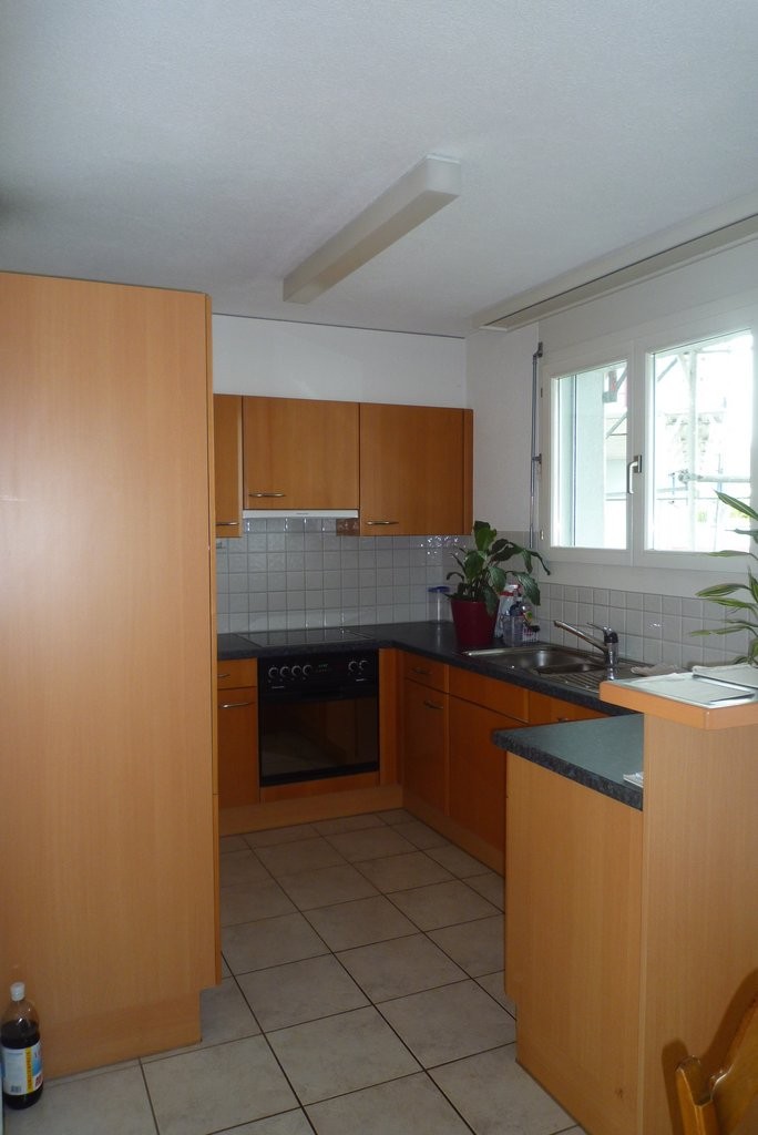 Appartement de 3 ½ pièces