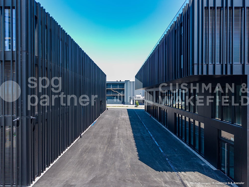 295m² commercial, photo 8 sur 10