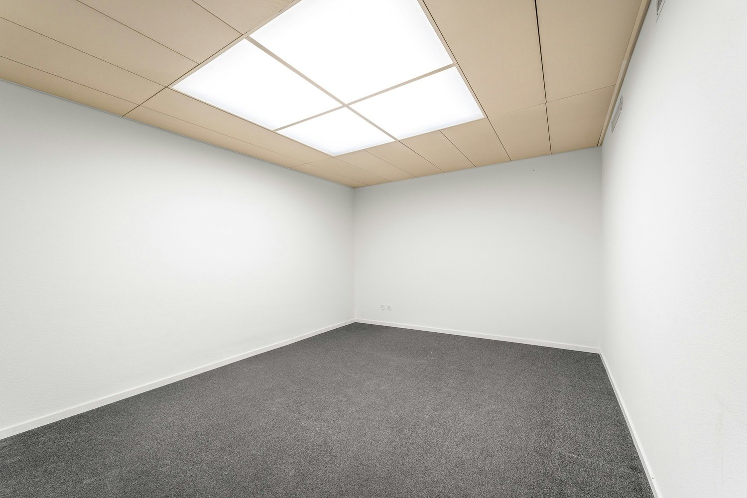 264m² bureau, photo 8 sur 10
