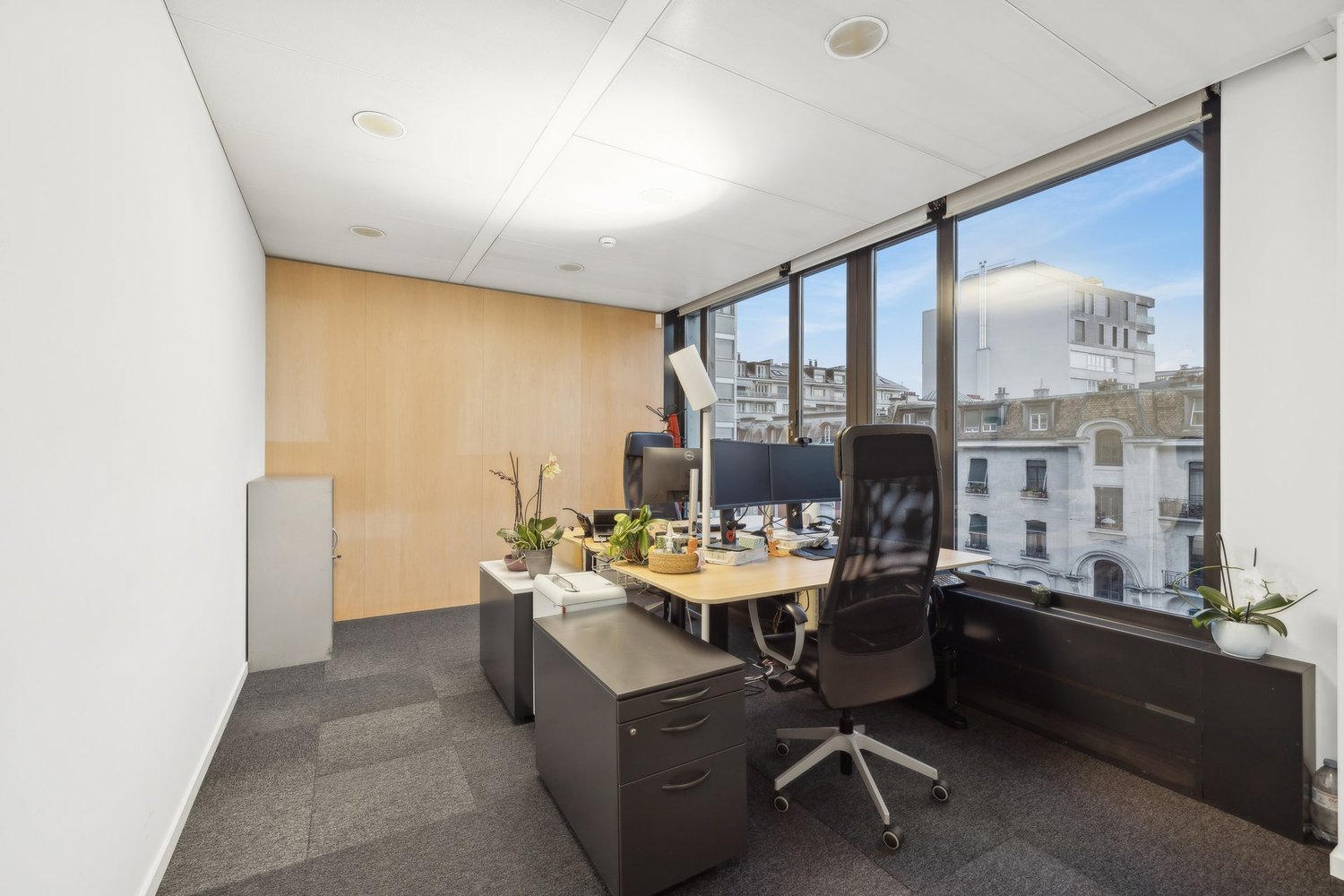 1250m² office