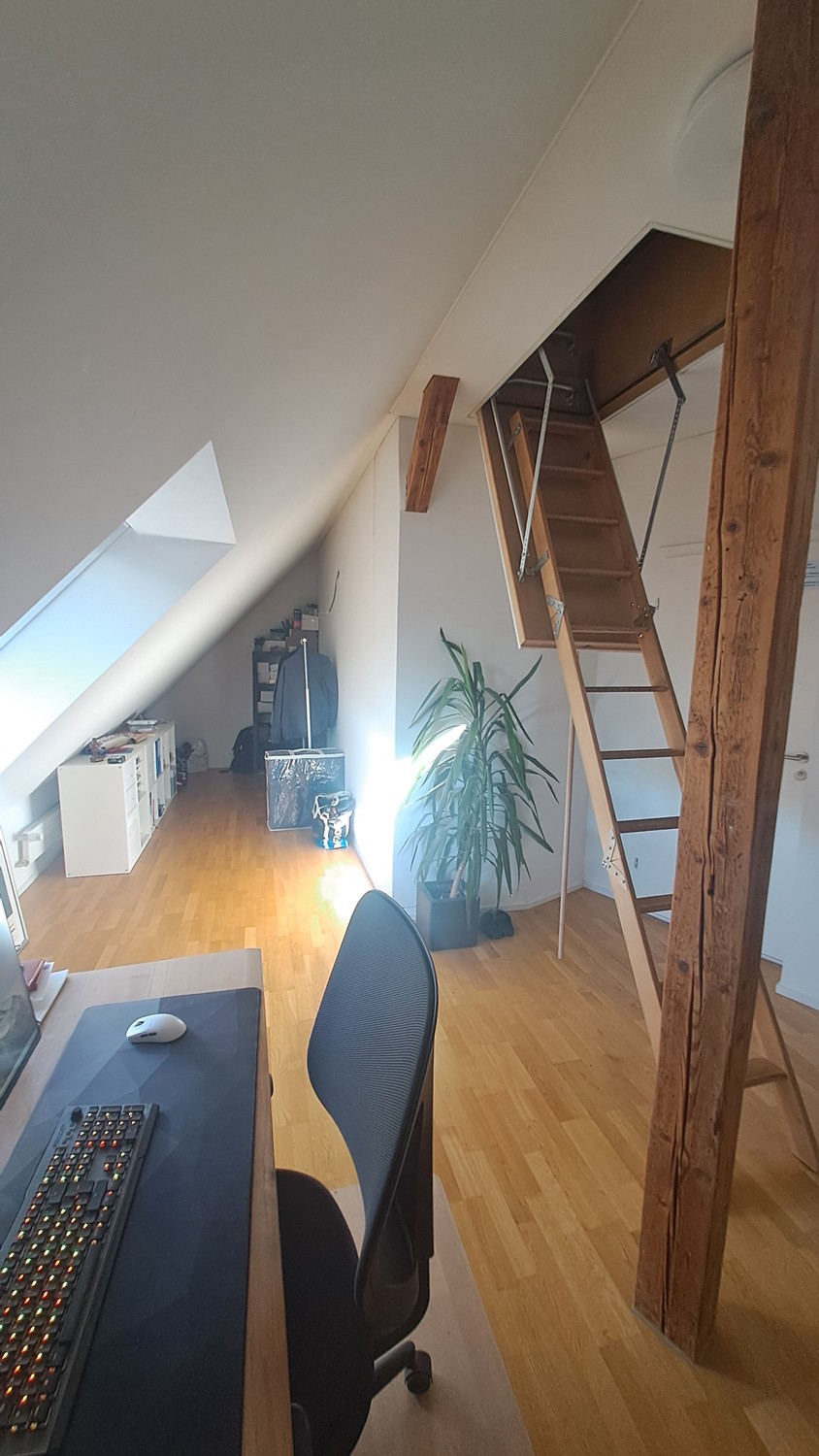 Appartement de 3 ½ pièces, photo 9 sur 10
