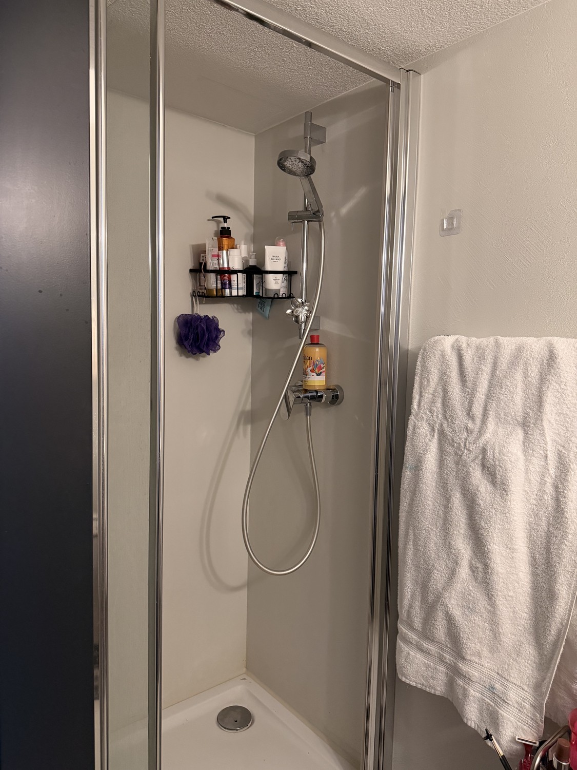 Appartement de 2 ½ pièces, photo 4 sur 5