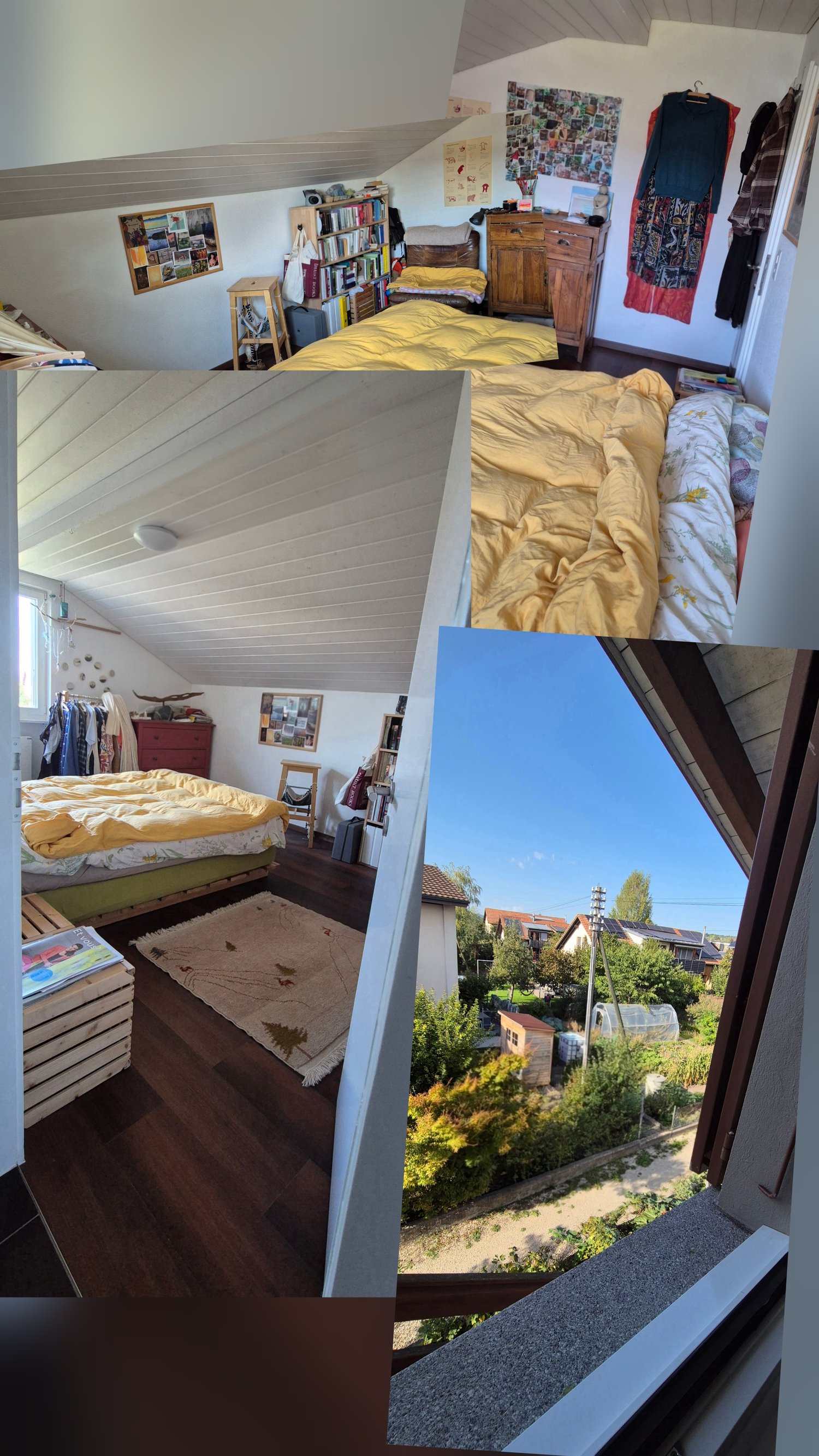 Room in a shared flat