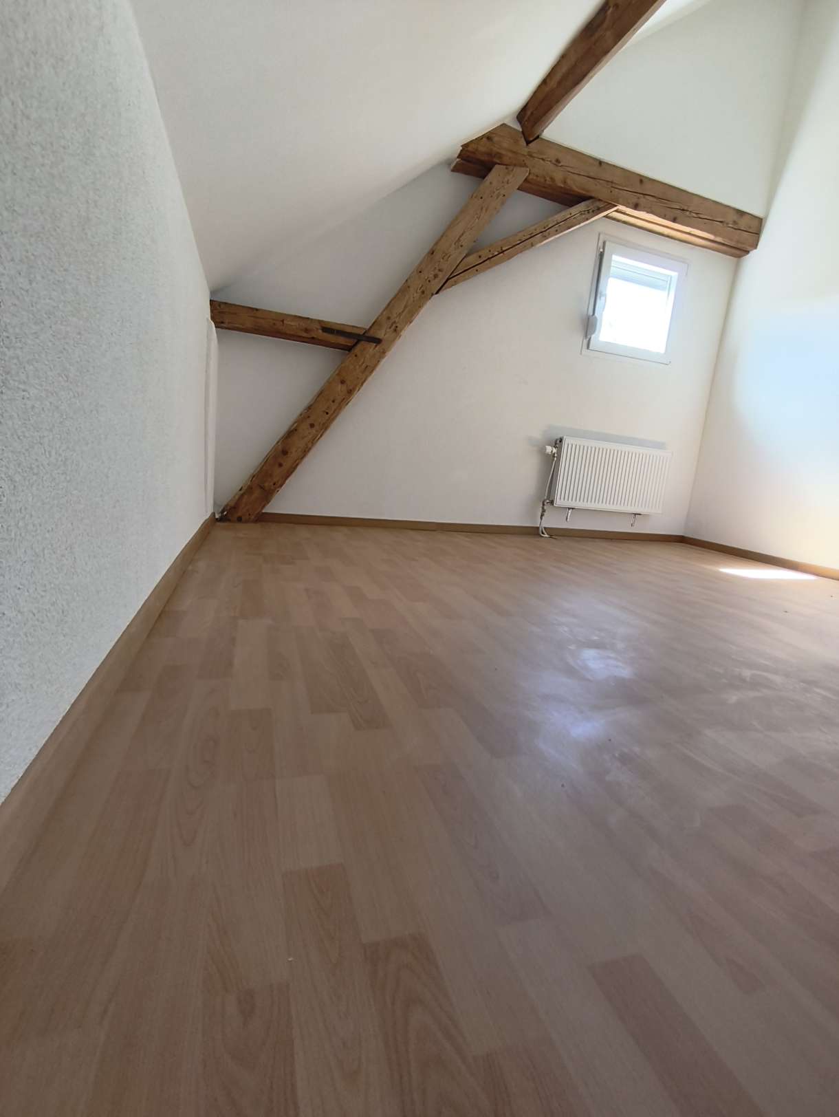 loft 1 pièce
