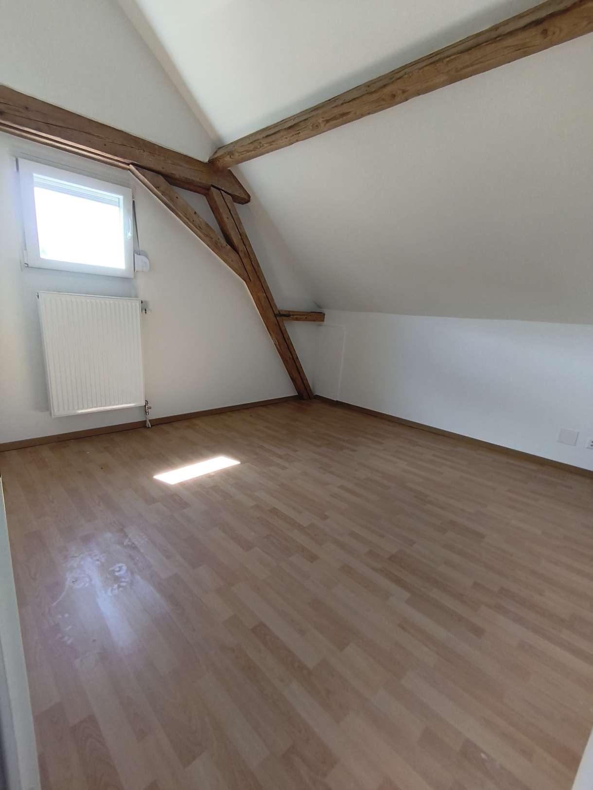 loft 1 pièce