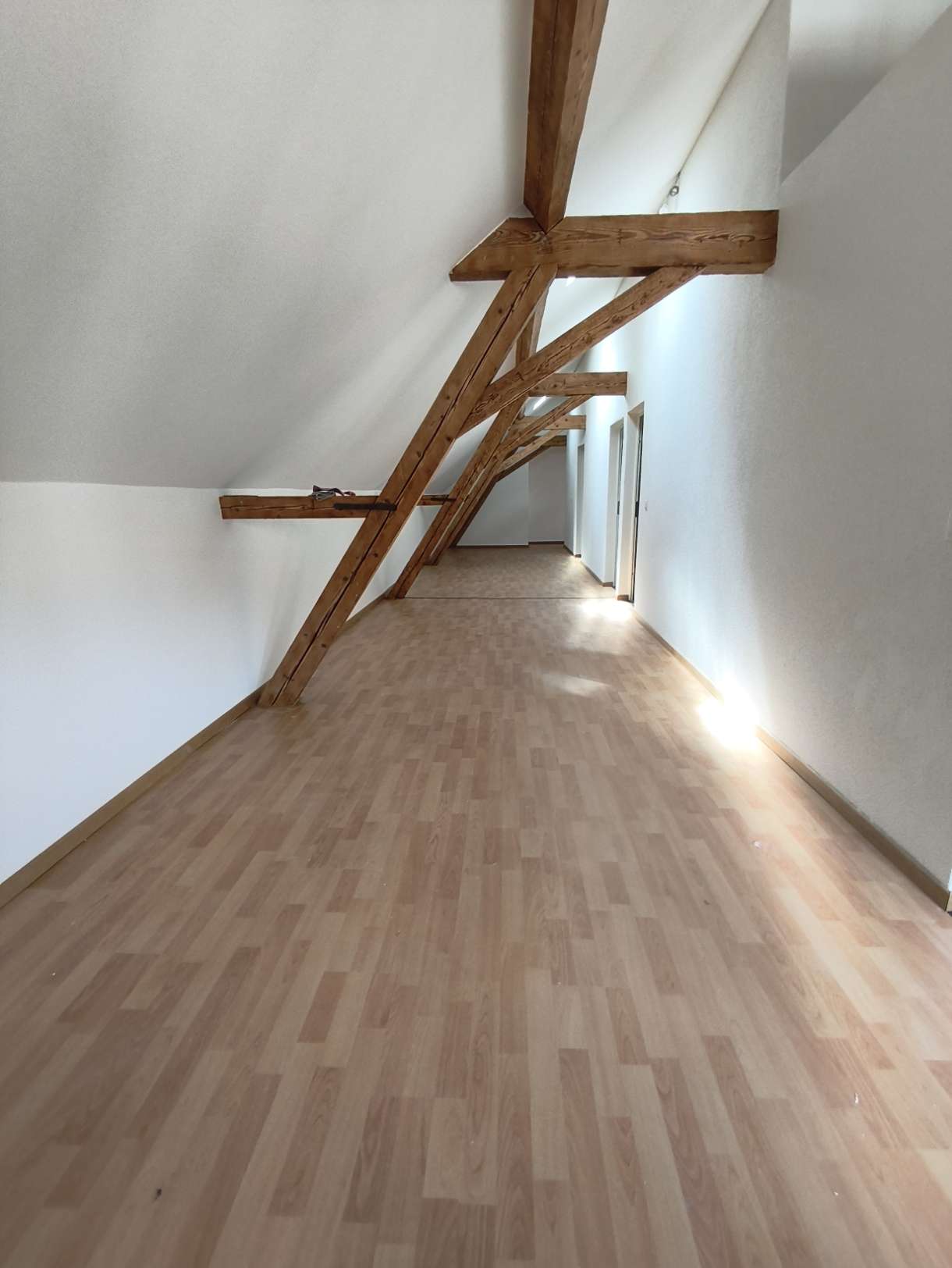 loft 1 pièce