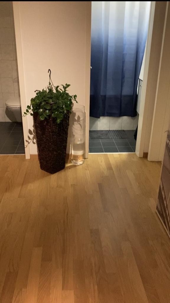 Appartement de 3 pièces